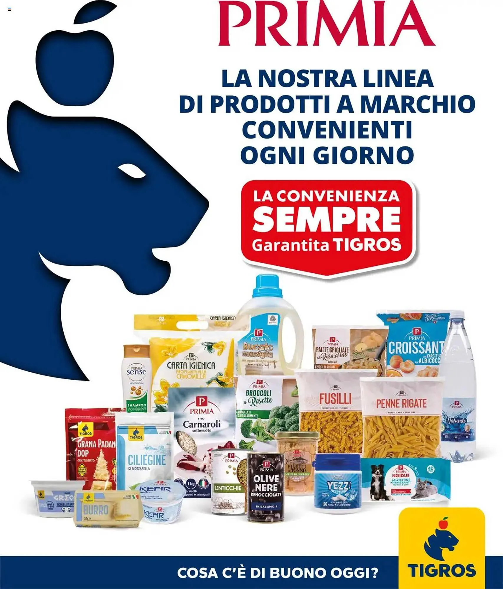 volantino Tigros da 2 settembre a 16 settembre di 2025 - Pagina del volantino 1