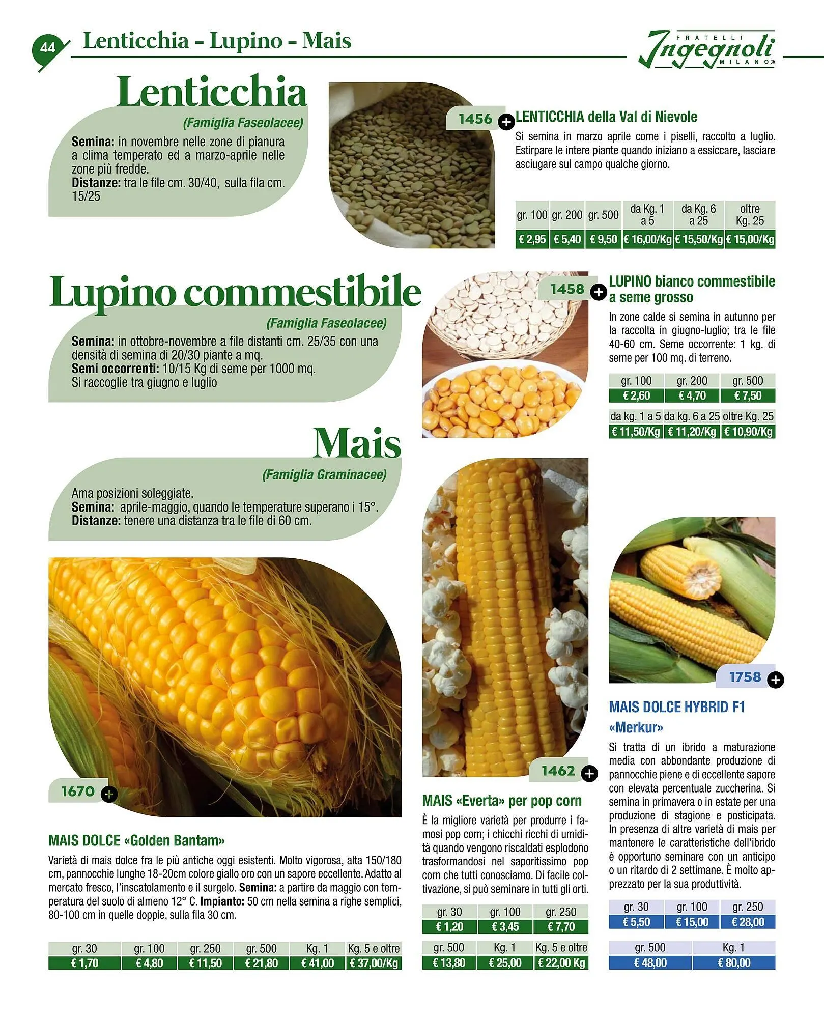 Volantino Ingegnoli da 4 novembre a 31 dicembre di 2025 - Pagina del volantino 46