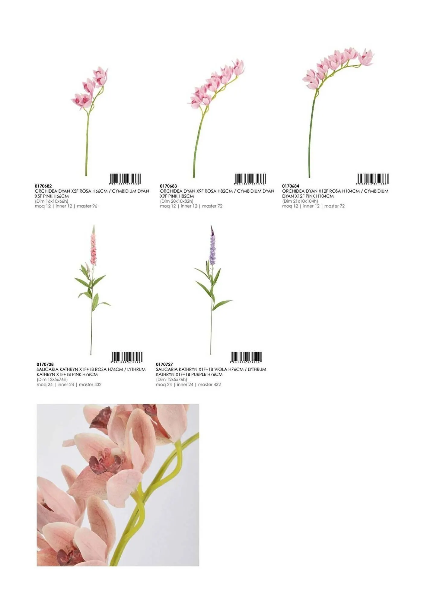 Volantino Bizzotto da 21 gennaio a 31 dicembre di 2025 - Pagina del volantino 181