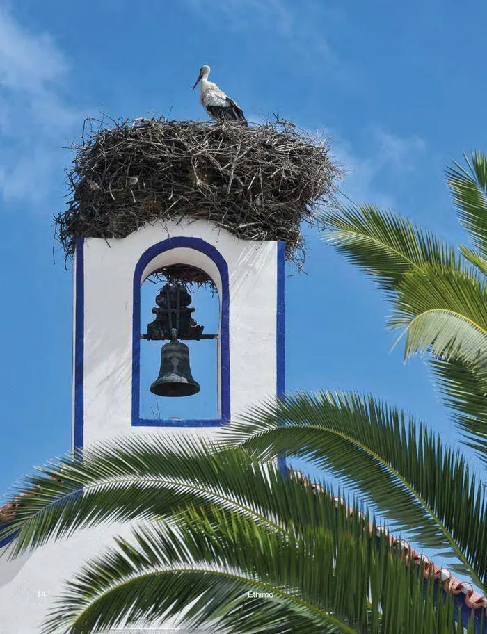 Outdoor decor collections 2024 da 1 febbraio a 30 giugno di 2024 - Pagina del volantino 16