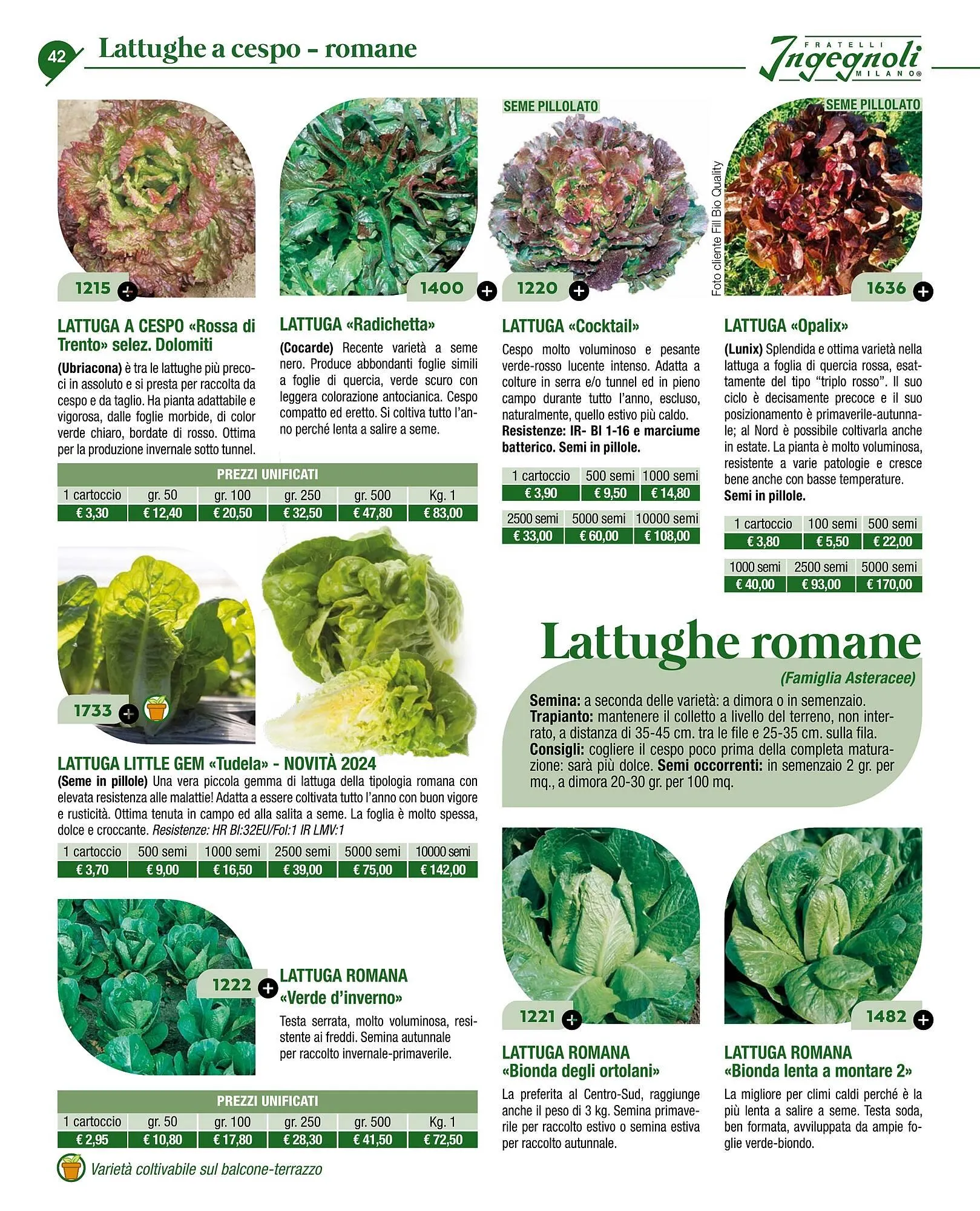 Volantino Ingegnoli da 4 novembre a 31 dicembre di 2025 - Pagina del volantino 44