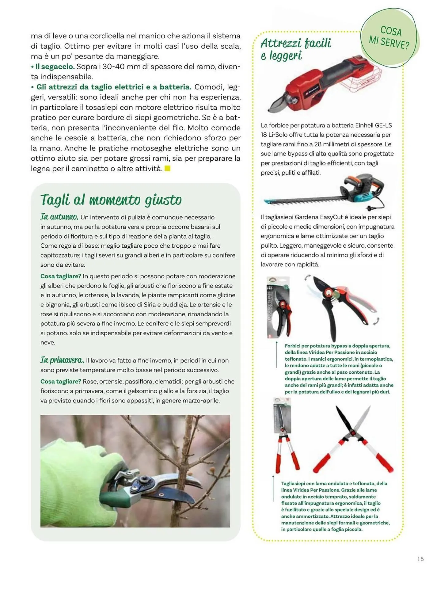 Volantino Viridea da 17 ottobre a 22 dicembre di 2025 - Pagina del volantino 15