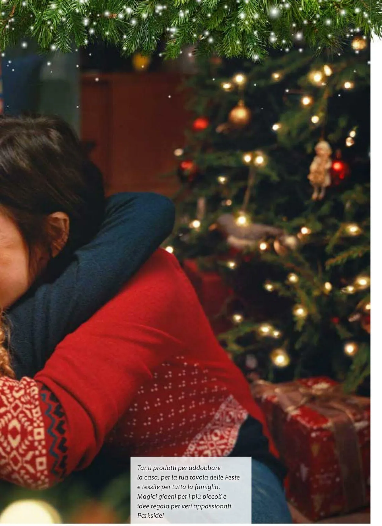 Lidl Volantino attuale da 31 dicembre a 14 gennaio di 2024 - Pagina del volantino 51