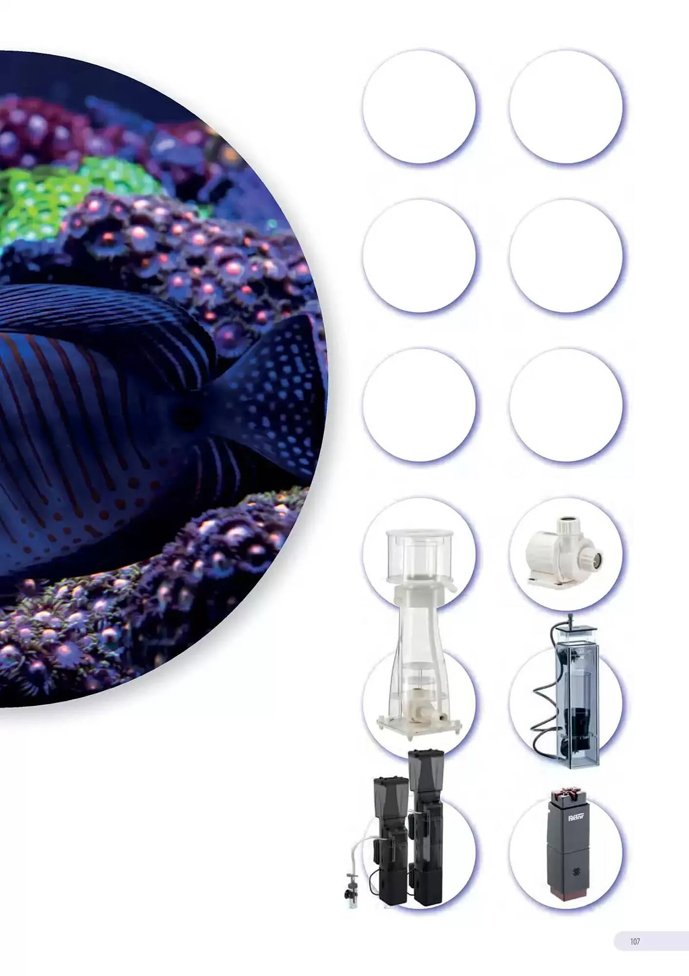 Volantino Ferplast da 13 dicembre a 31 dicembre di 2026 - Pagina del volantino 108