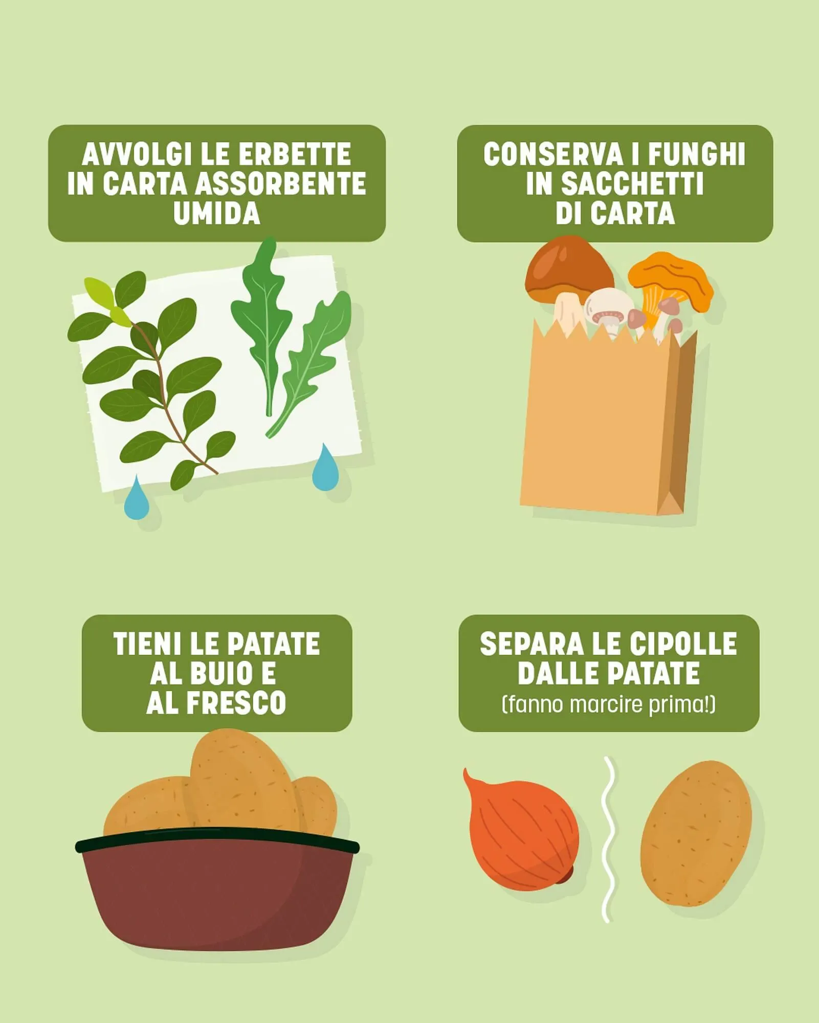 Volantino Gruppo VéGé da 3 luglio a 13 luglio di 2025 - Pagina del volantino 3