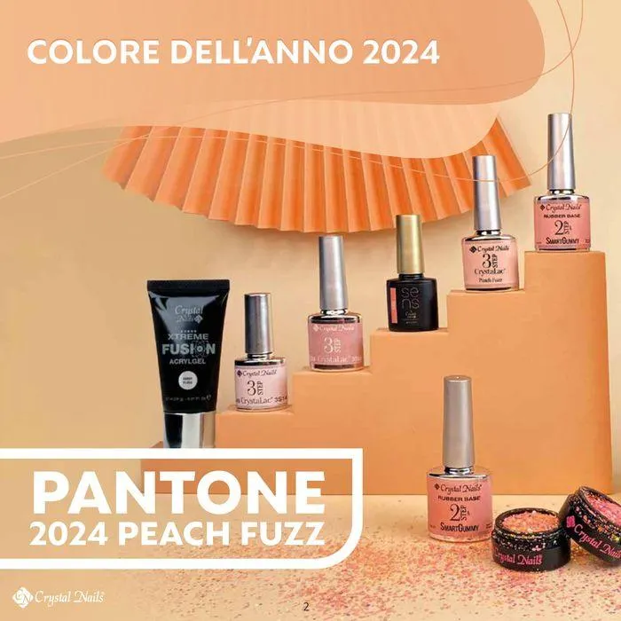 Catalogo 2024 da 3 luglio a 15 gennaio di 2025 - Pagina del volantino 2