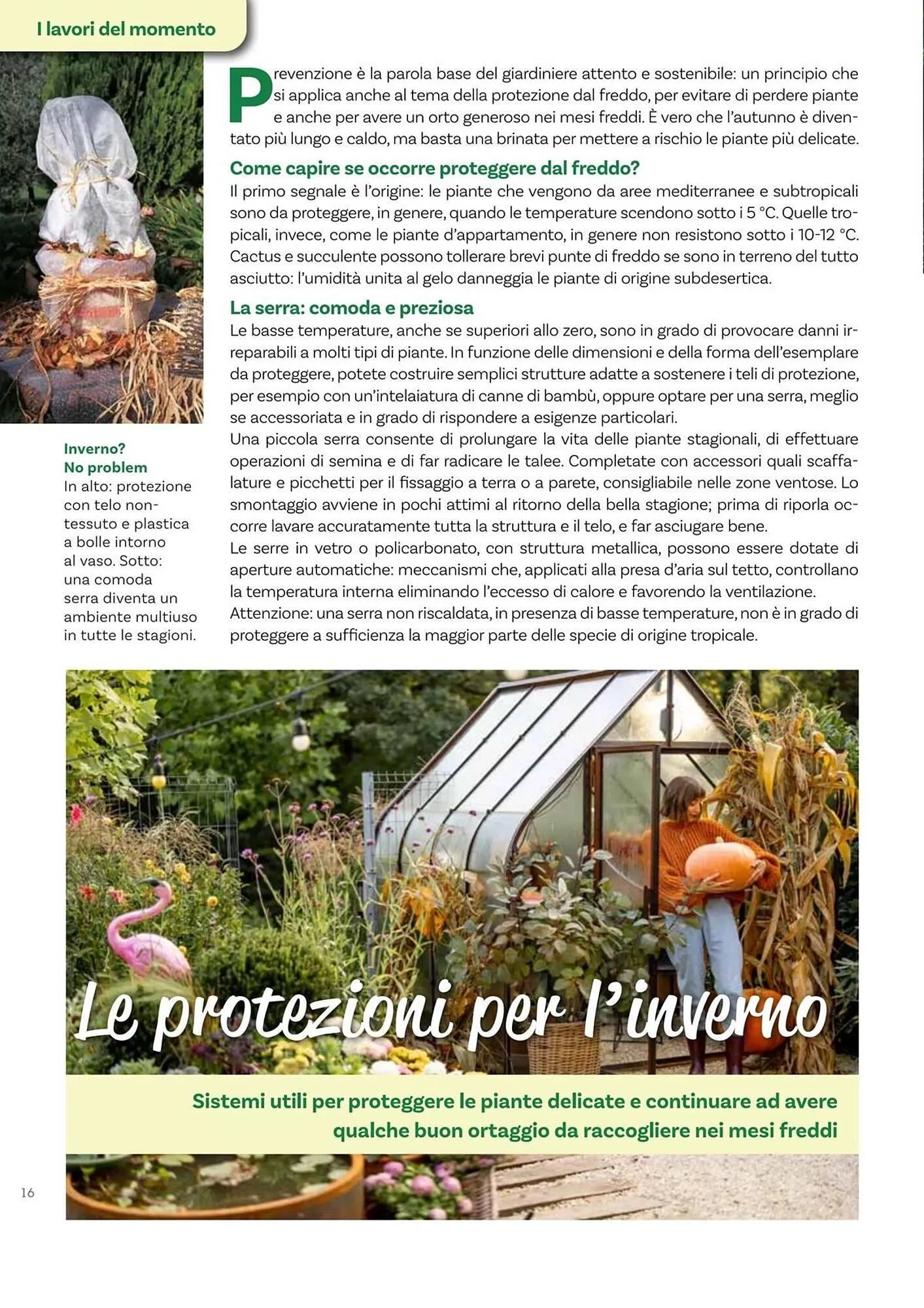 Volantino Viridea da 17 ottobre a 22 dicembre di 2025 - Pagina del volantino 16