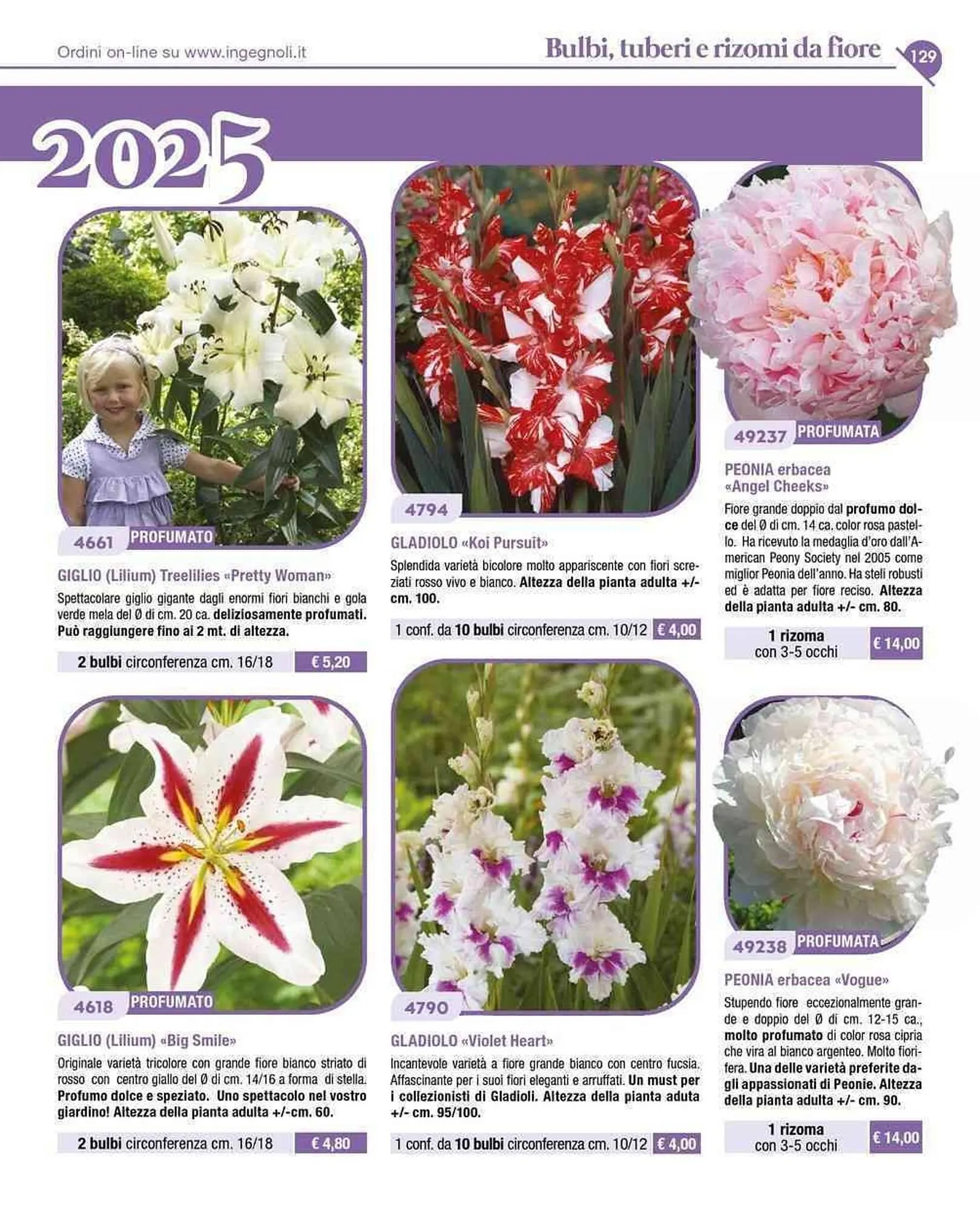 Volantino Ingegnoli da 4 novembre a 31 dicembre di 2025 - Pagina del volantino 2