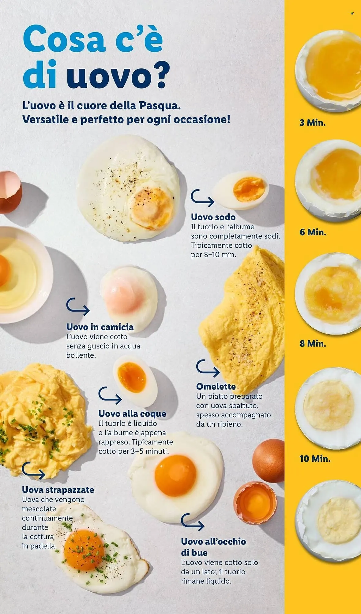 Volantino Lidl da 2 marzo a 5 aprile di 2026 - Pagina del volantino 17