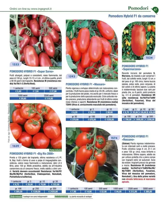 Novita 2025 da 4 novembre a 31 dicembre di 2025 - Pagina del volantino 66