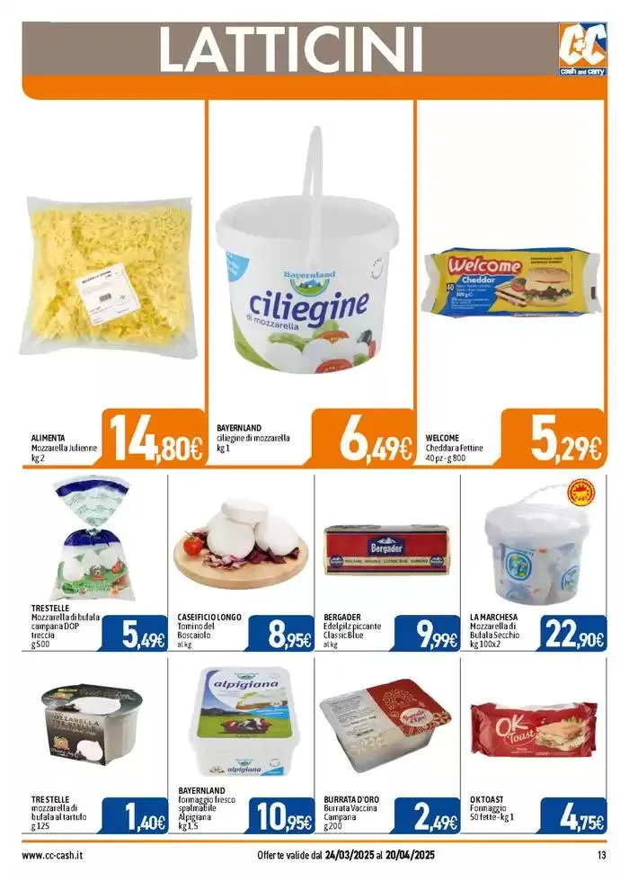 PROFESSIONAL da 24 marzo a 20 aprile di 2025 - Pagina del volantino 13