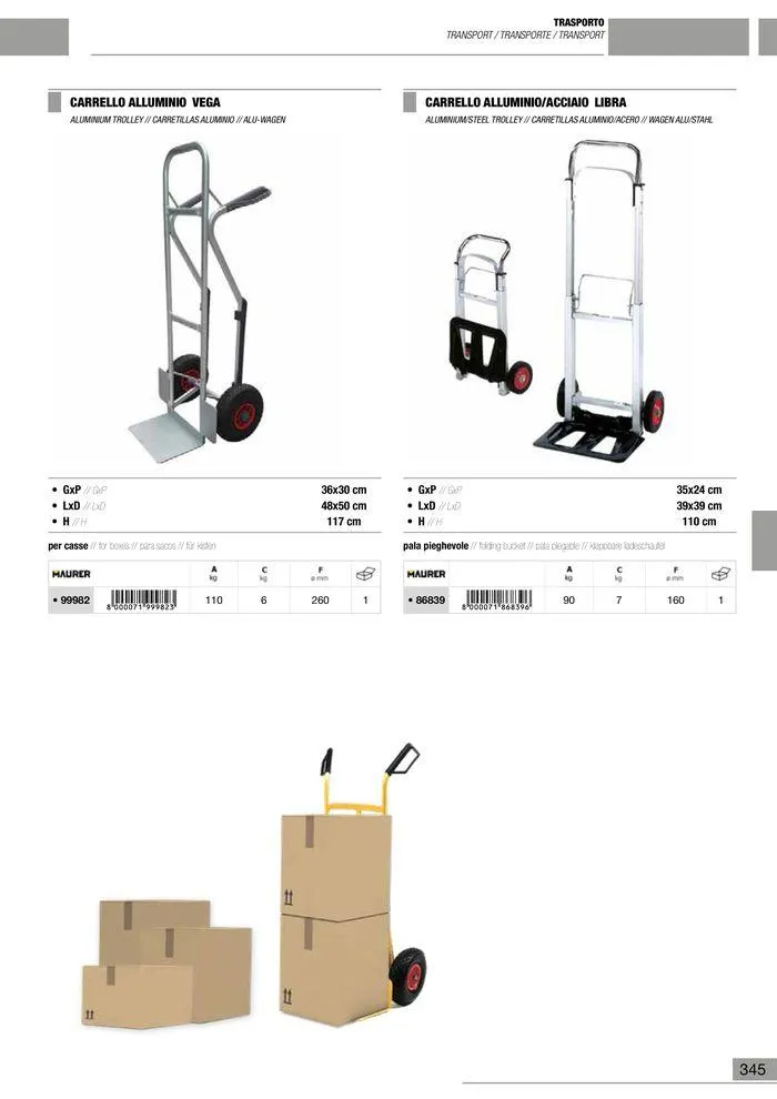 Catalogo Generale da 10 gennaio a 13 maggio di 2025 - Pagina del volantino 346