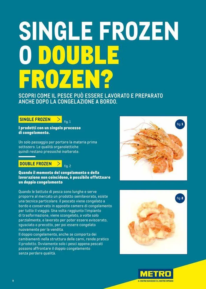 Catalogo Surgelati 2024 da 21 maggio a 31 maggio di 2025 - Pagina del volantino 9