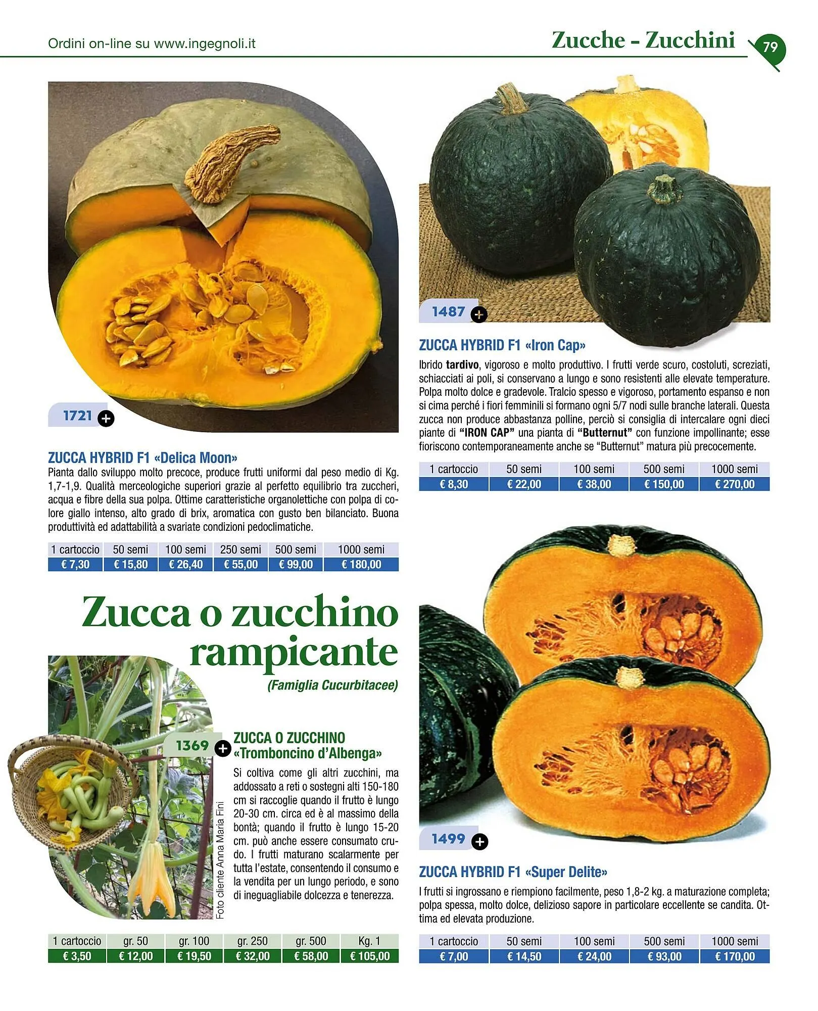 Volantino Ingegnoli da 4 novembre a 31 dicembre di 2025 - Pagina del volantino 81