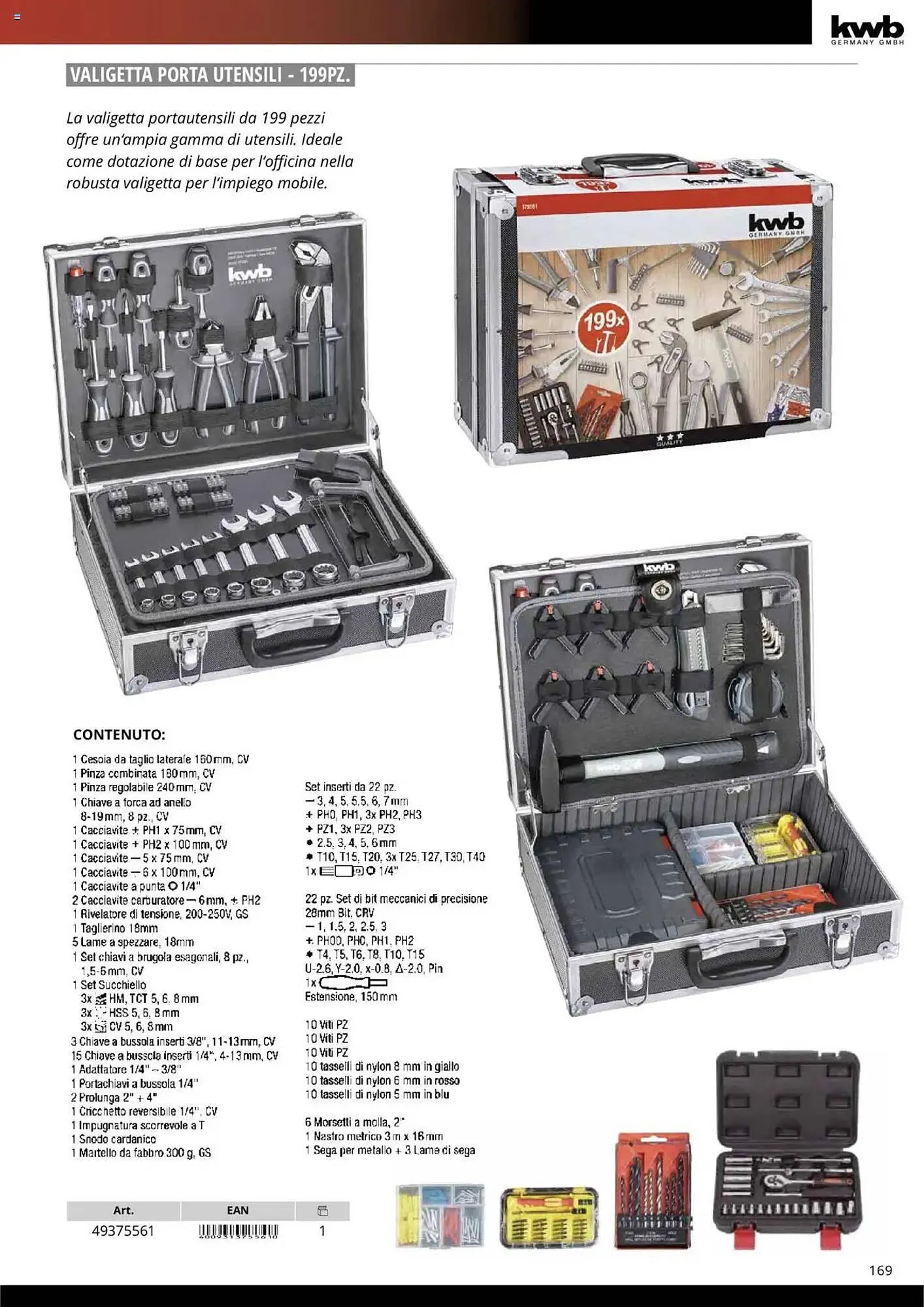 Volantino Einhell da 10 ottobre a 31 dicembre di 2025 - Pagina del volantino 171