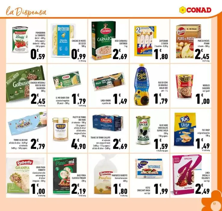 Campioni del risparmio da 16 ottobre a 27 ottobre di 2024 - Pagina del volantino 17