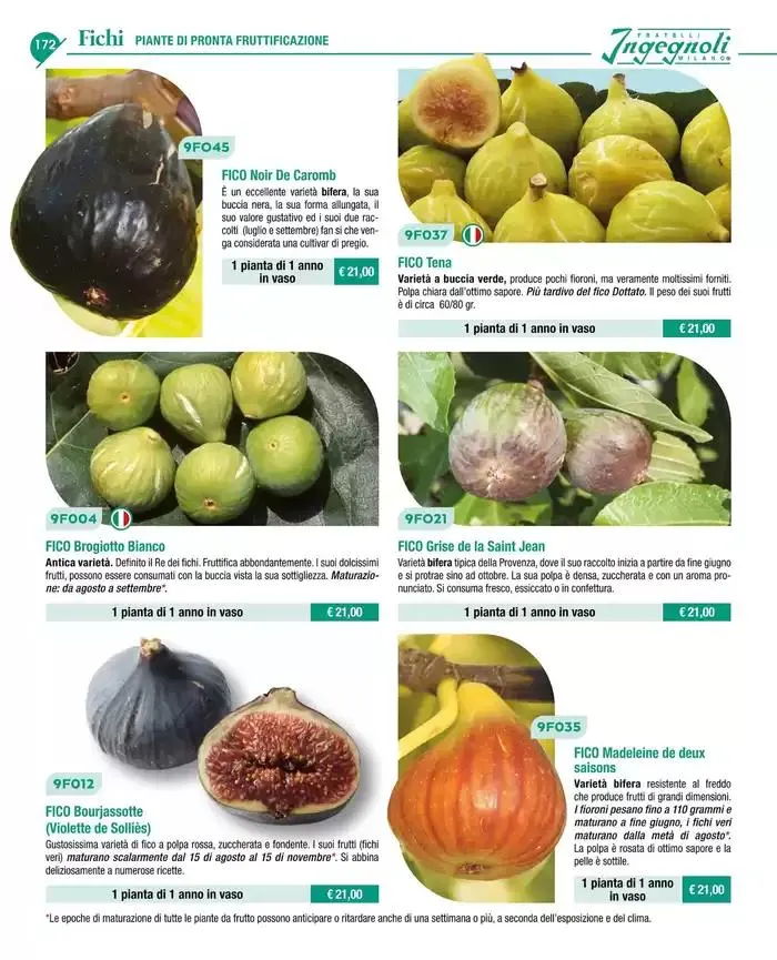 Catalogo guida 2025 da 20 gennaio a 31 dicembre di 2025 - Pagina del volantino 174