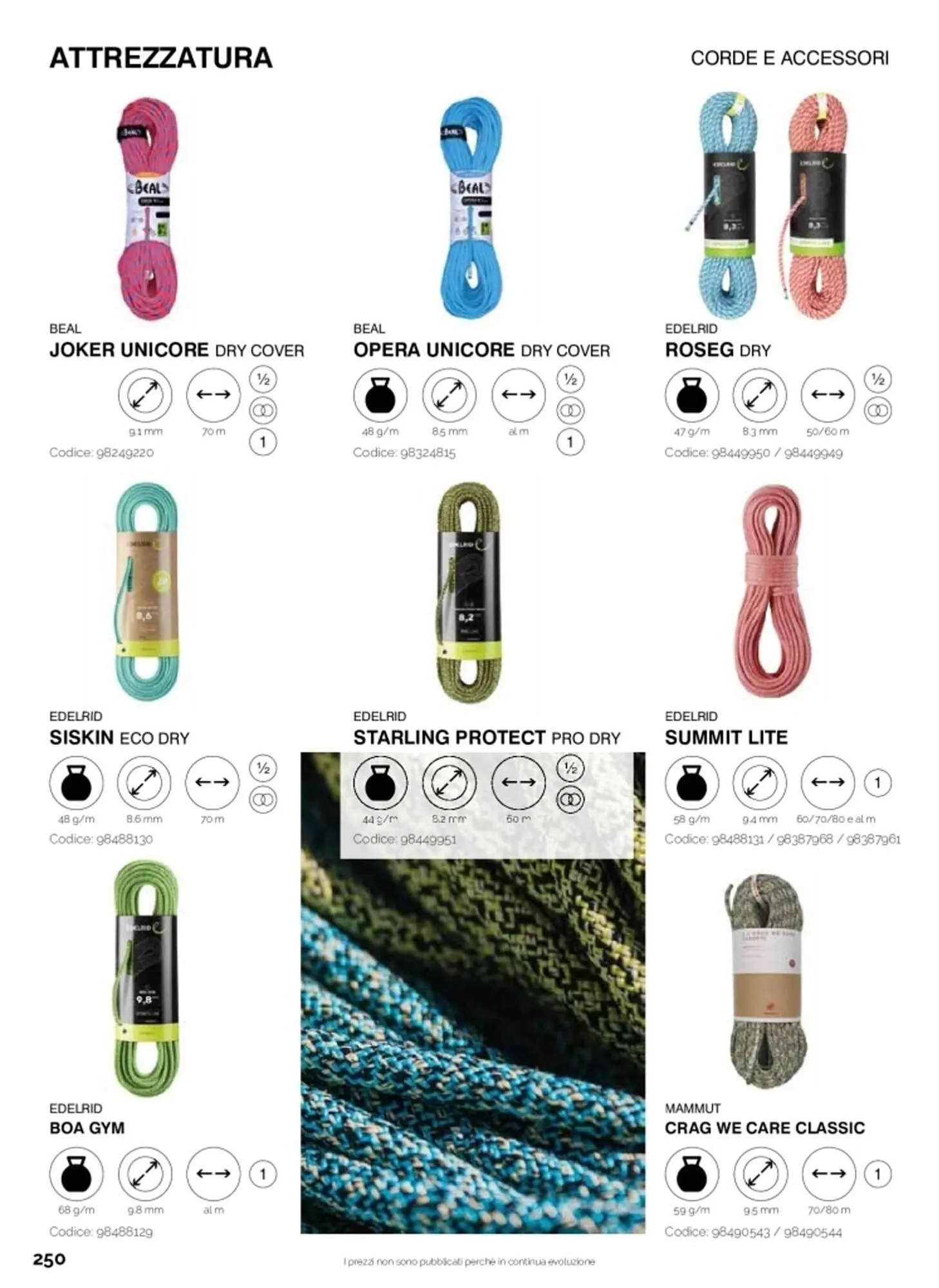 Volantino DF Sport Specialist da 23 giugno a 22 settembre di 2025 - Pagina del volantino 250