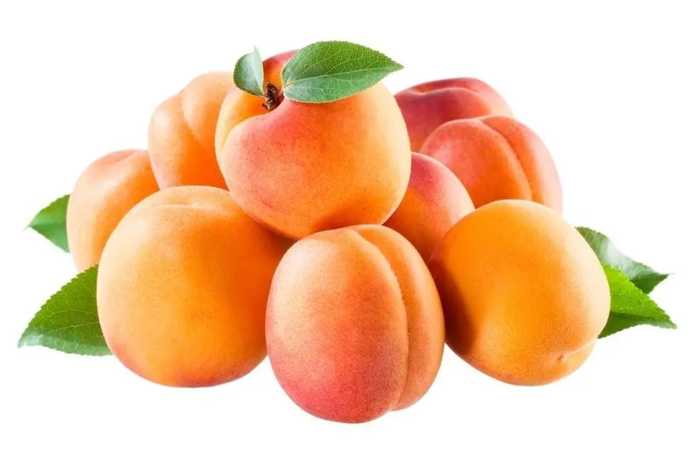 Albicocche 1 kg