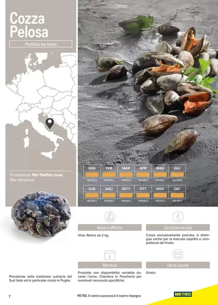 Catalogo Frutti di mare da 2 gennaio a 31 luglio di 2025 - Pagina del volantino 7