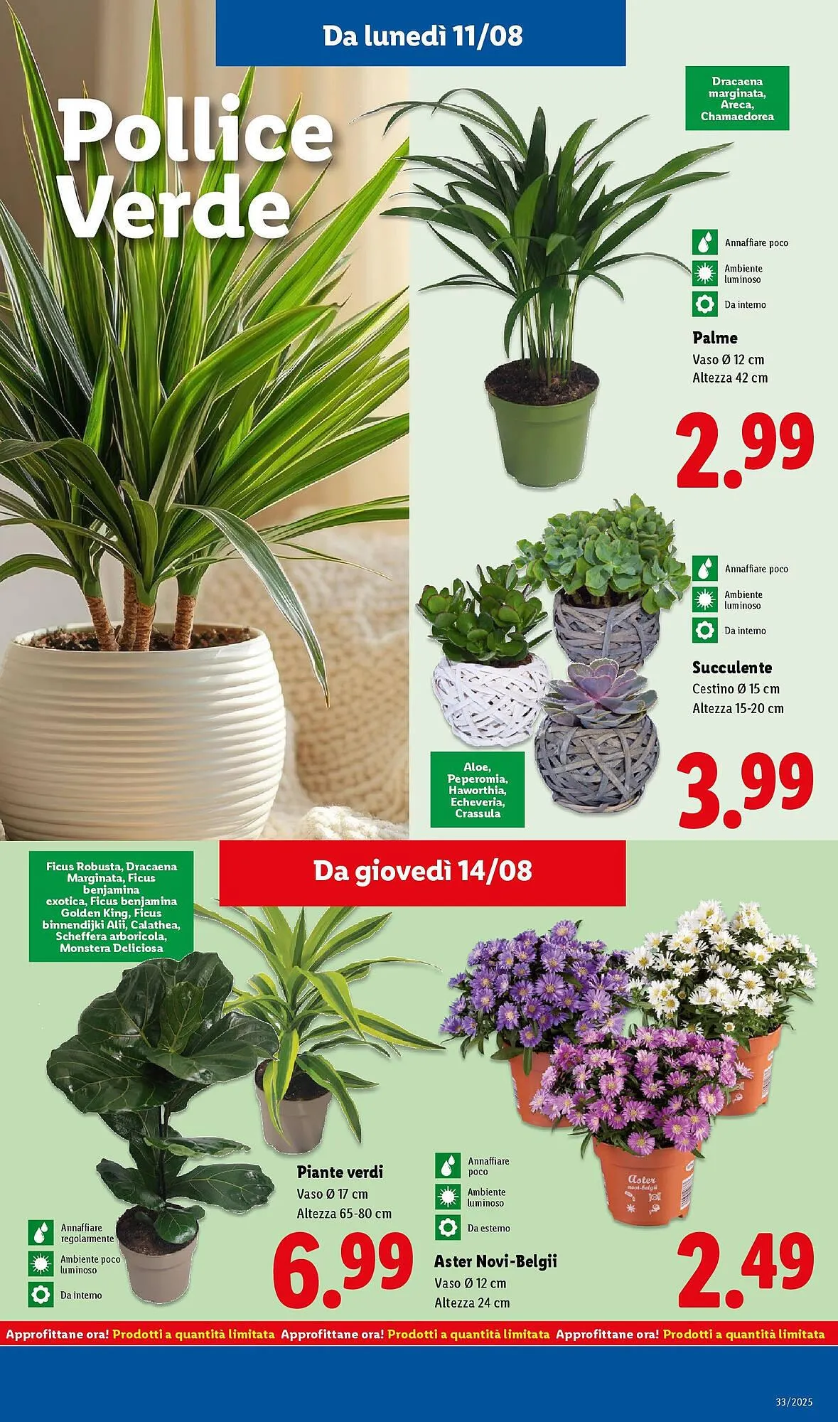 Volantino Lidl da 11 agosto a 17 agosto di 2025 - Pagina del volantino 41