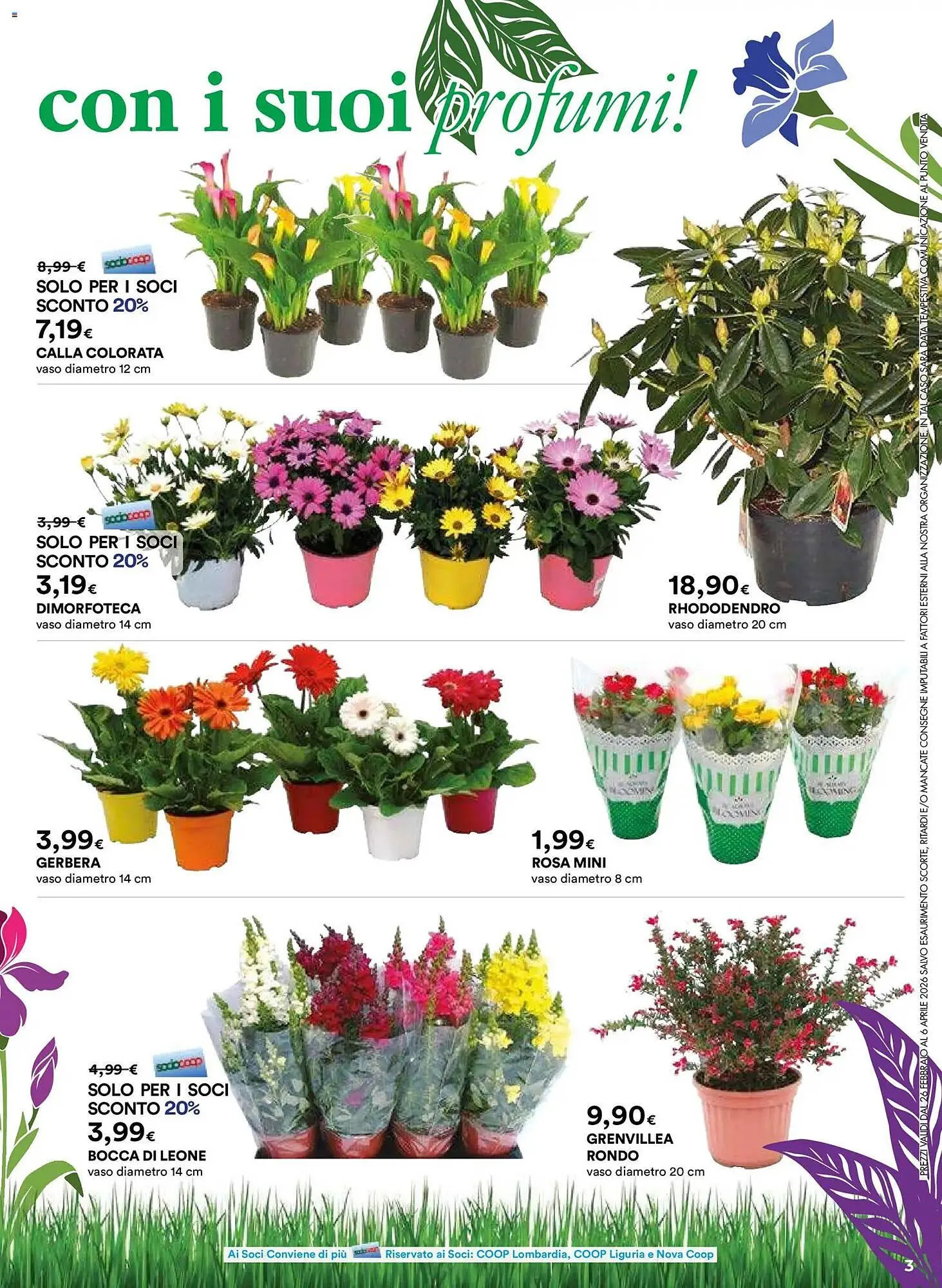 Volantino Ipercoop da 26 febbraio a 6 aprile di 2026 - Pagina del volantino 3