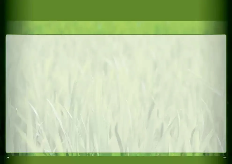 Planet da 1 aprile a 30 settembre di 2025 - Pagina del volantino 54