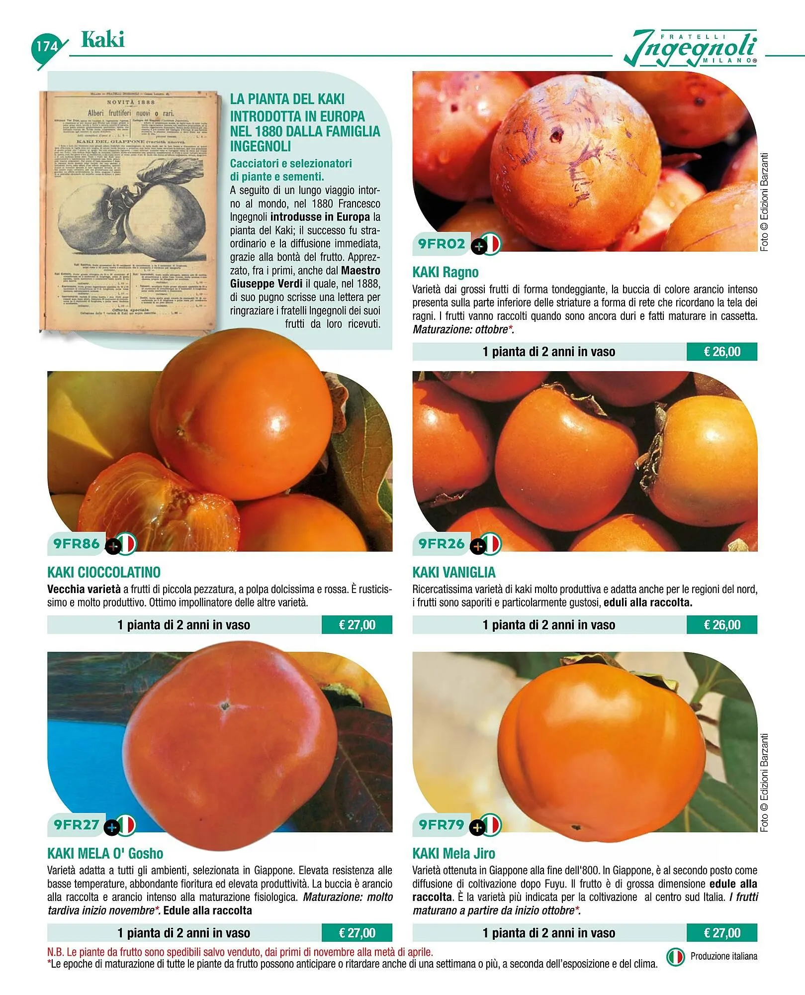 Volantino Ingegnoli da 4 novembre a 31 dicembre di 2025 - Pagina del volantino 176