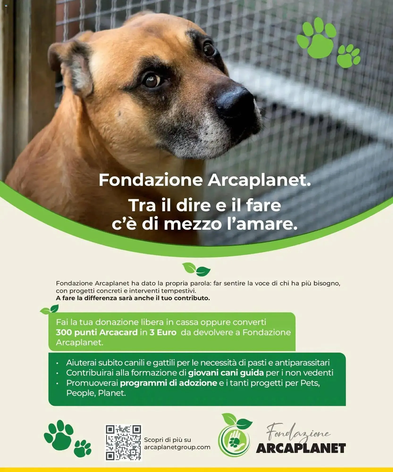 Volantino Arcaplanet da 29 dicembre a 7 gennaio di 2026 - Pagina del volantino 26