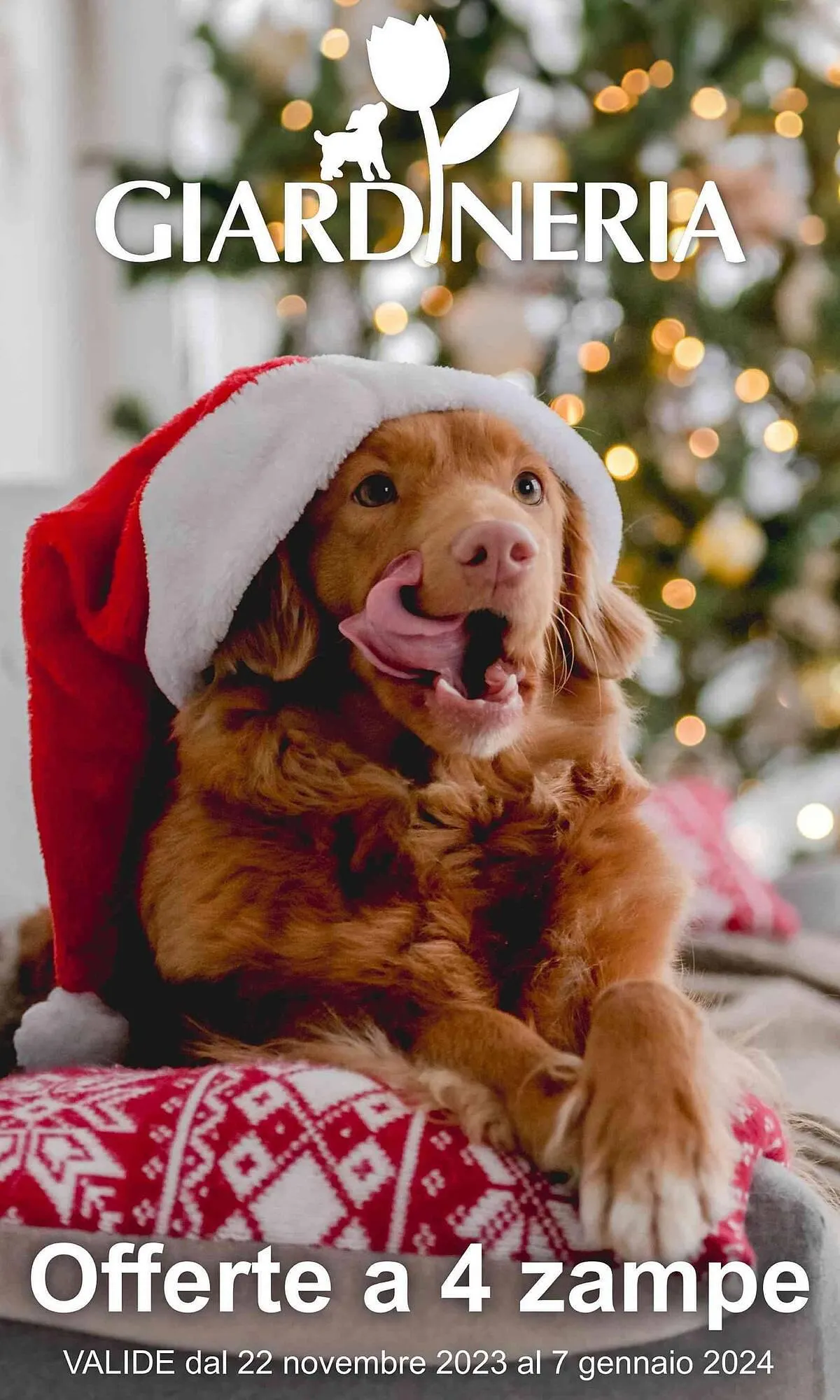 Volantino Giardineria da 22 novembre a 7 gennaio di 2024 - Pagina del volantino