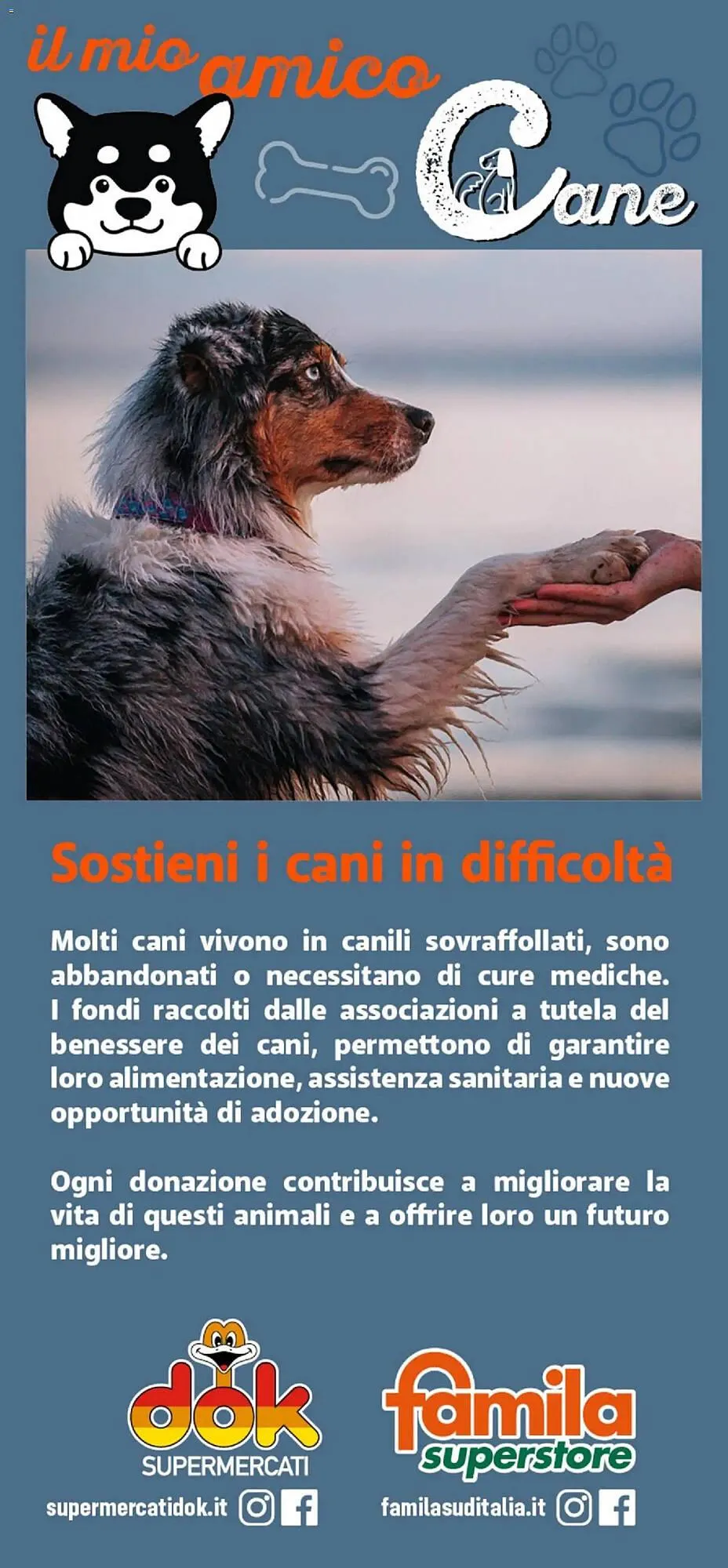 Volantino Supermercati Dok da 24 ottobre a 9 novembre di 2025 - Pagina del volantino 12