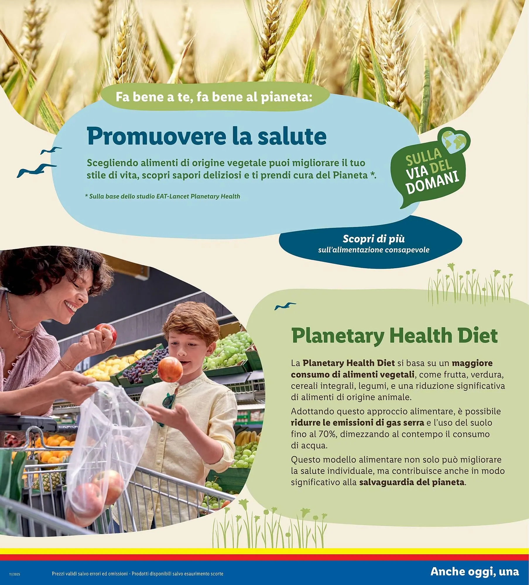 Volantino Lidl da 10 marzo a 16 marzo di 2025 - Pagina del volantino 16