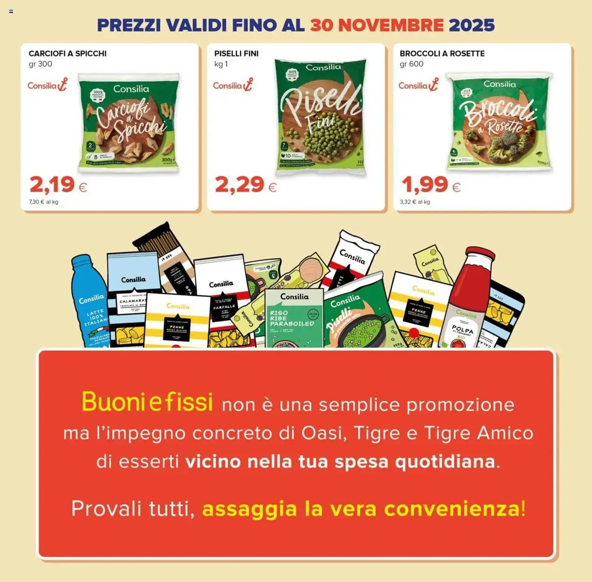Volantino Oasi da 9 ottobre a 31 dicembre di 2025 - Pagina del volantino 11