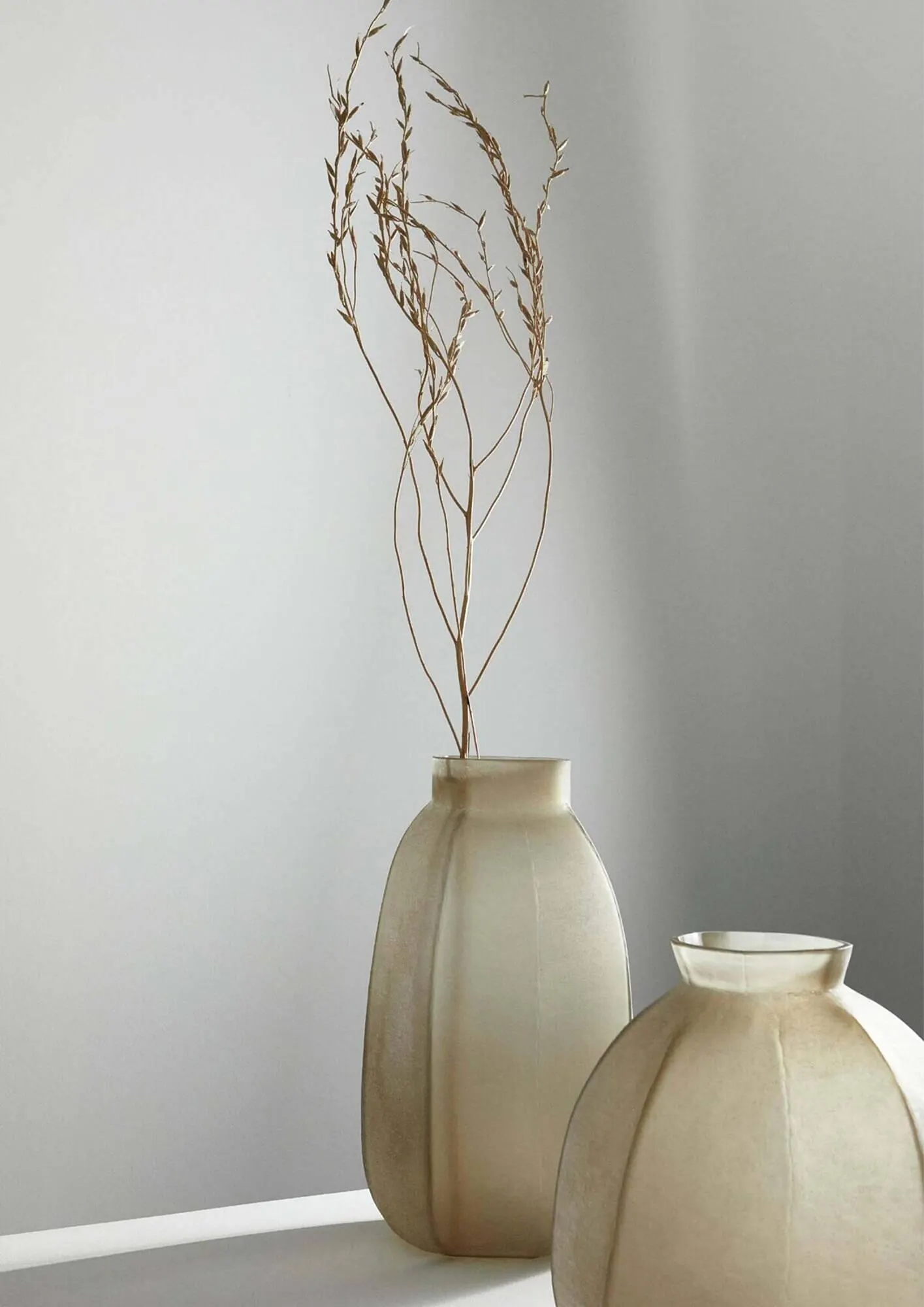 Volantino Bizzotto da 20 settembre a 28 dicembre di 2024 - Pagina del volantino 5