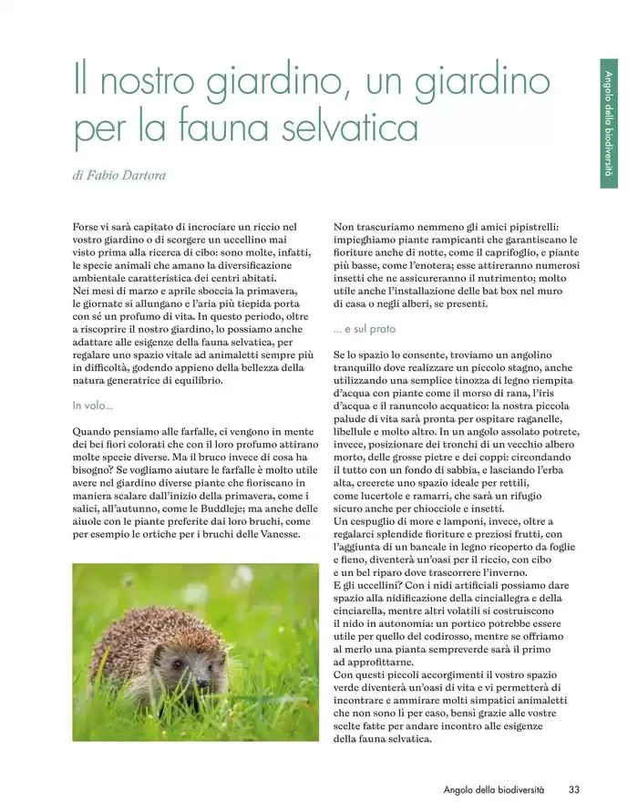 Primavera, una rinscita da condividere da 1 marzo a 30 aprile di 2025 - Pagina del volantino 33