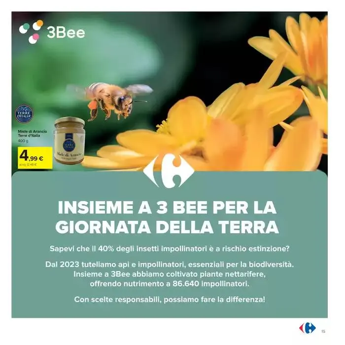 Sconti alla griglia da 1 maggio a 4 maggio di 2025 - Pagina del volantino 15