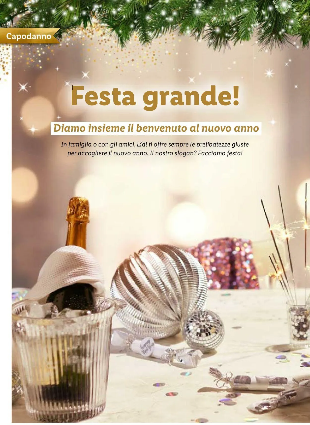 Lidl Volantino attuale da 31 dicembre a 14 gennaio di 2024 - Pagina del volantino 44