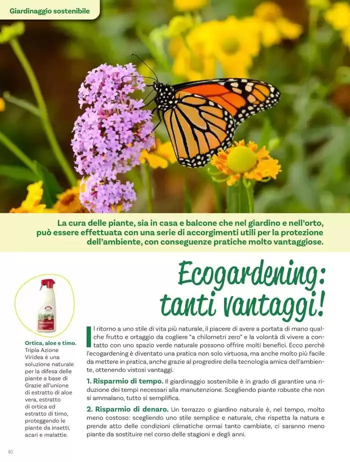 Idee per la vita all' aperto da 18 aprile a 18 maggio di 2025 - Pagina del volantino 40