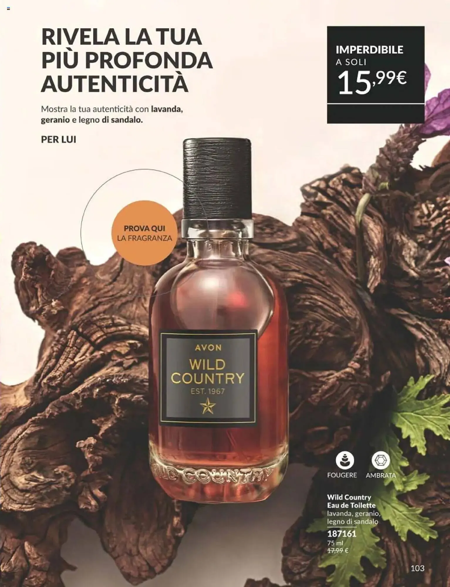Volantino Avon da 1 settembre a 30 settembre di 2025 - Pagina del volantino 103
