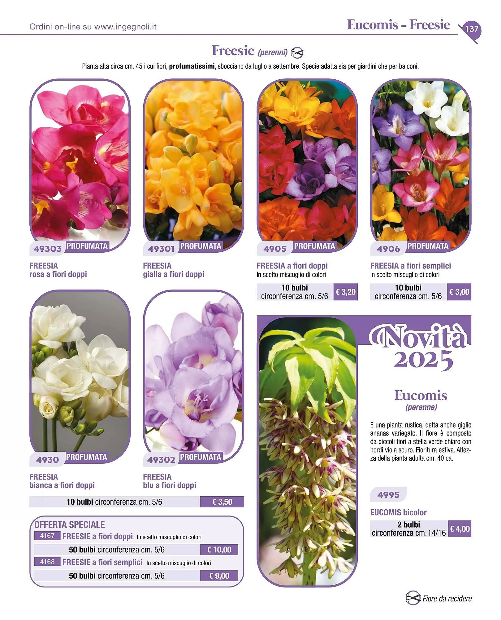 Volantino Ingegnoli da 4 novembre a 31 dicembre di 2025 - Pagina del volantino 139