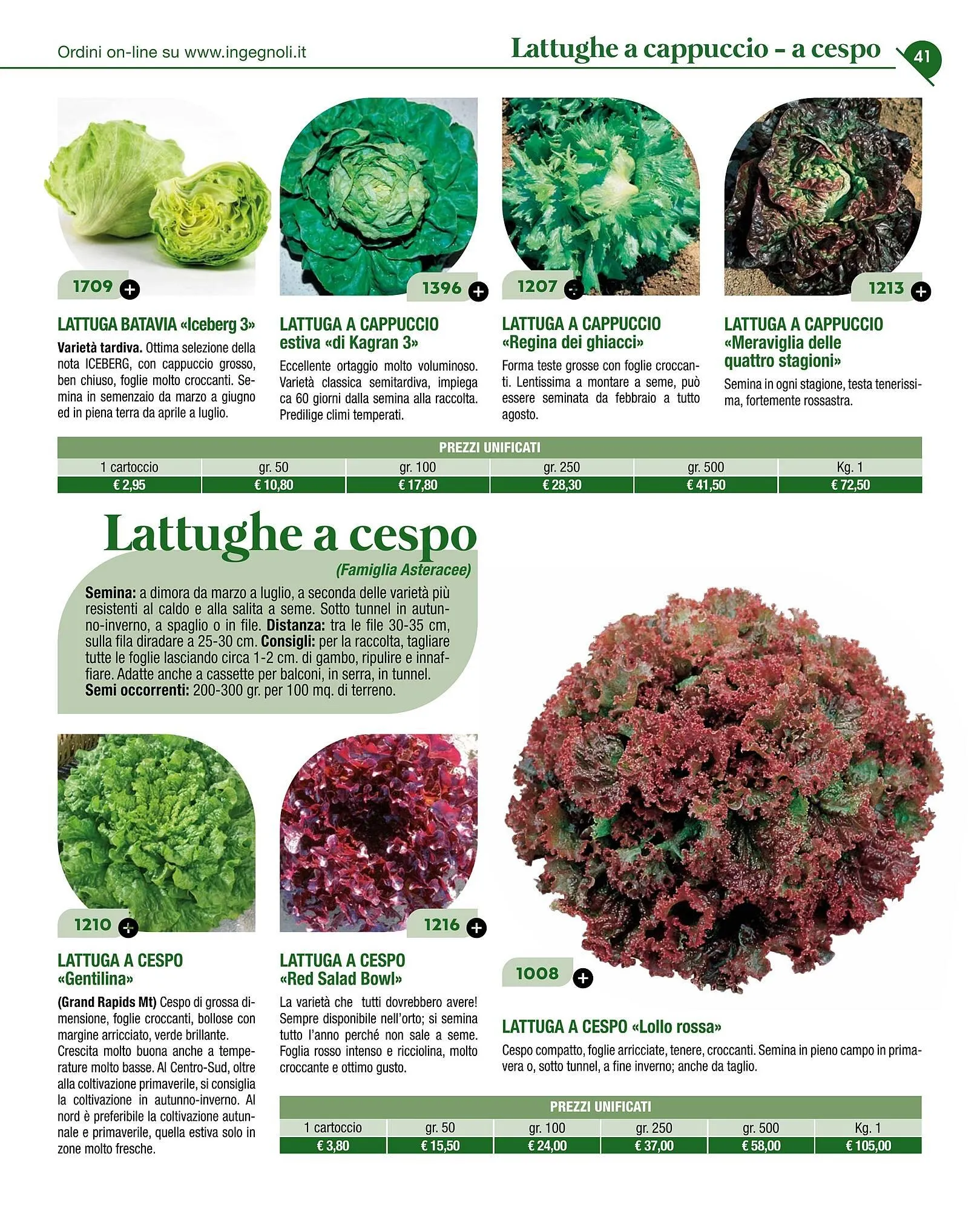 Volantino Ingegnoli da 4 novembre a 31 dicembre di 2025 - Pagina del volantino 43