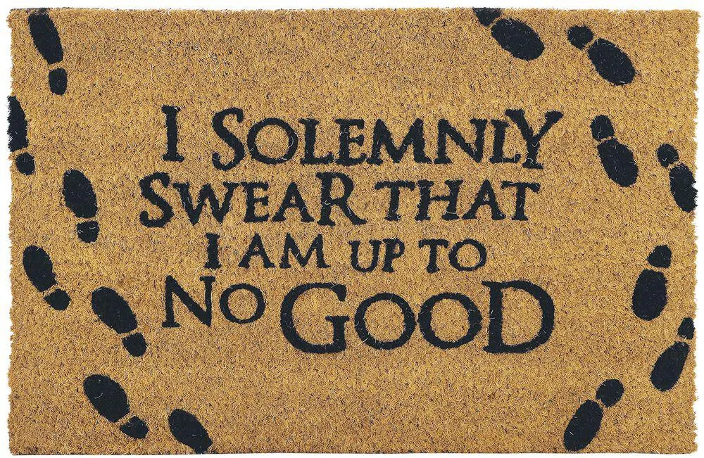 Solemly Swear | Zerbino | multicolore | Harry Potter