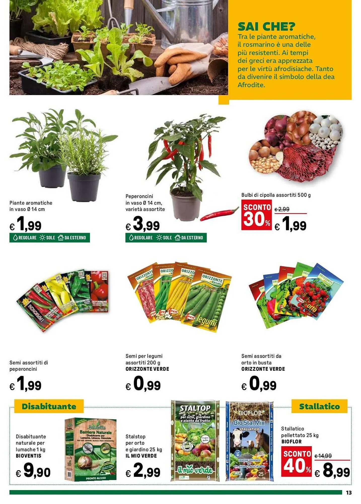 Volantino Iper La Grande da 17 marzo a 13 aprile di 2025 - Pagina del volantino 13