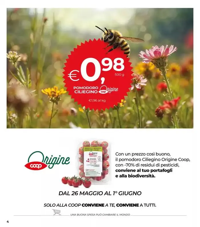 DAL 22 MAGGIO AL 4 GIUGNO 2025 da 22 maggio a 4 giugno di 2025 - Pagina del volantino 4