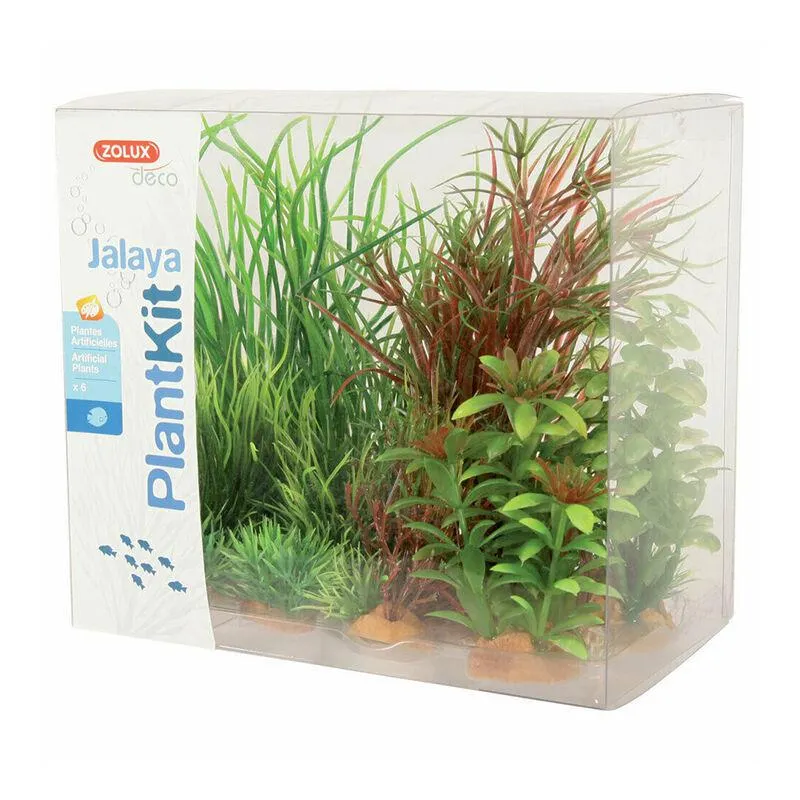 Zolux Plantkit Jalaya 6 piante Mod 4
