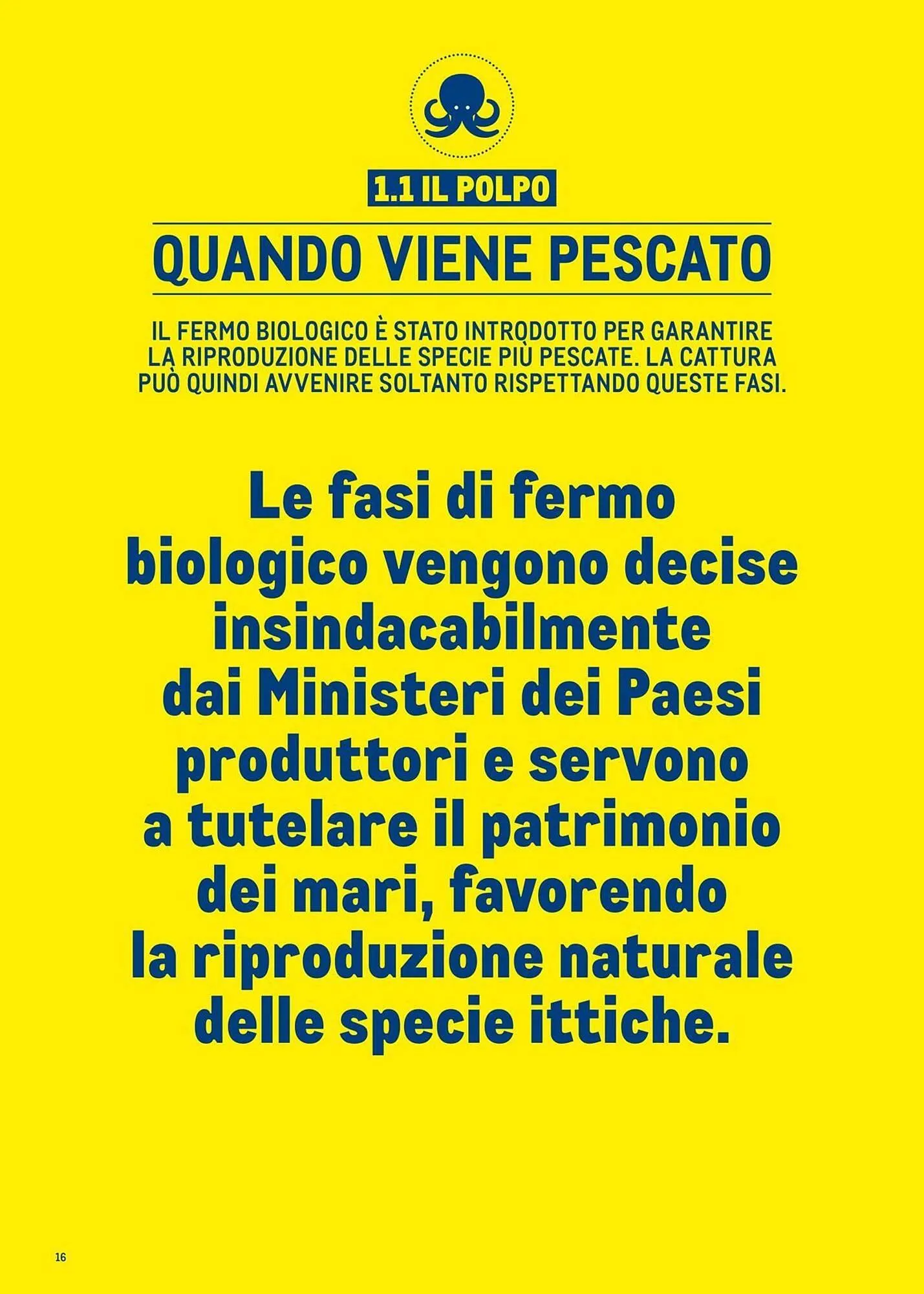 Volantino Metro da 1 luglio a 30 giugno di 2026 - Pagina del volantino 16