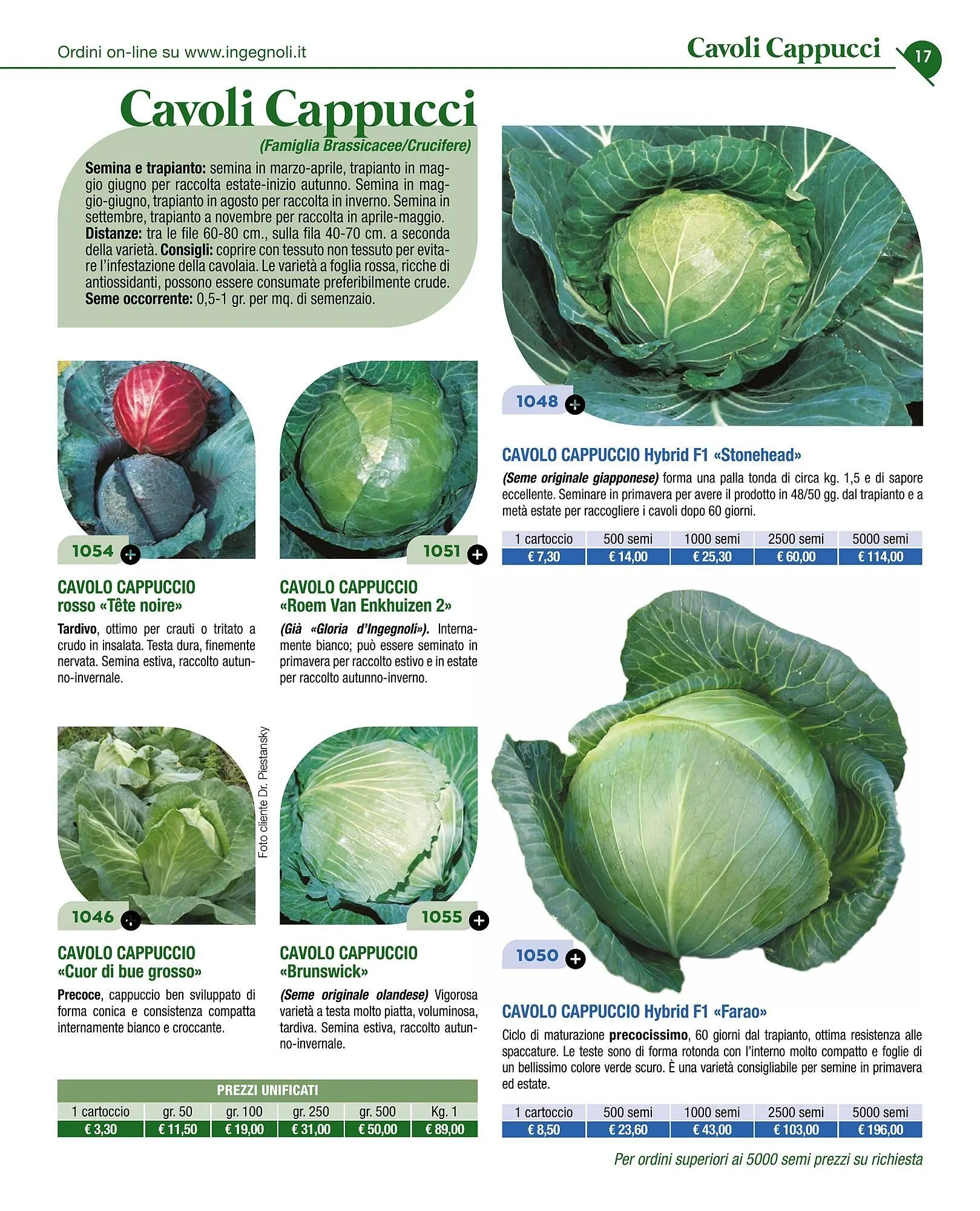 Volantino Ingegnoli da 4 novembre a 31 dicembre di 2025 - Pagina del volantino 19