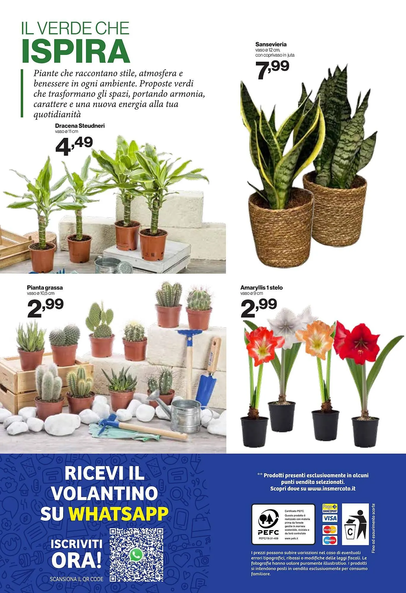 Volantino In'S Mercato da 31 dicembre a 11 gennaio di 2026 - Pagina del volantino 24