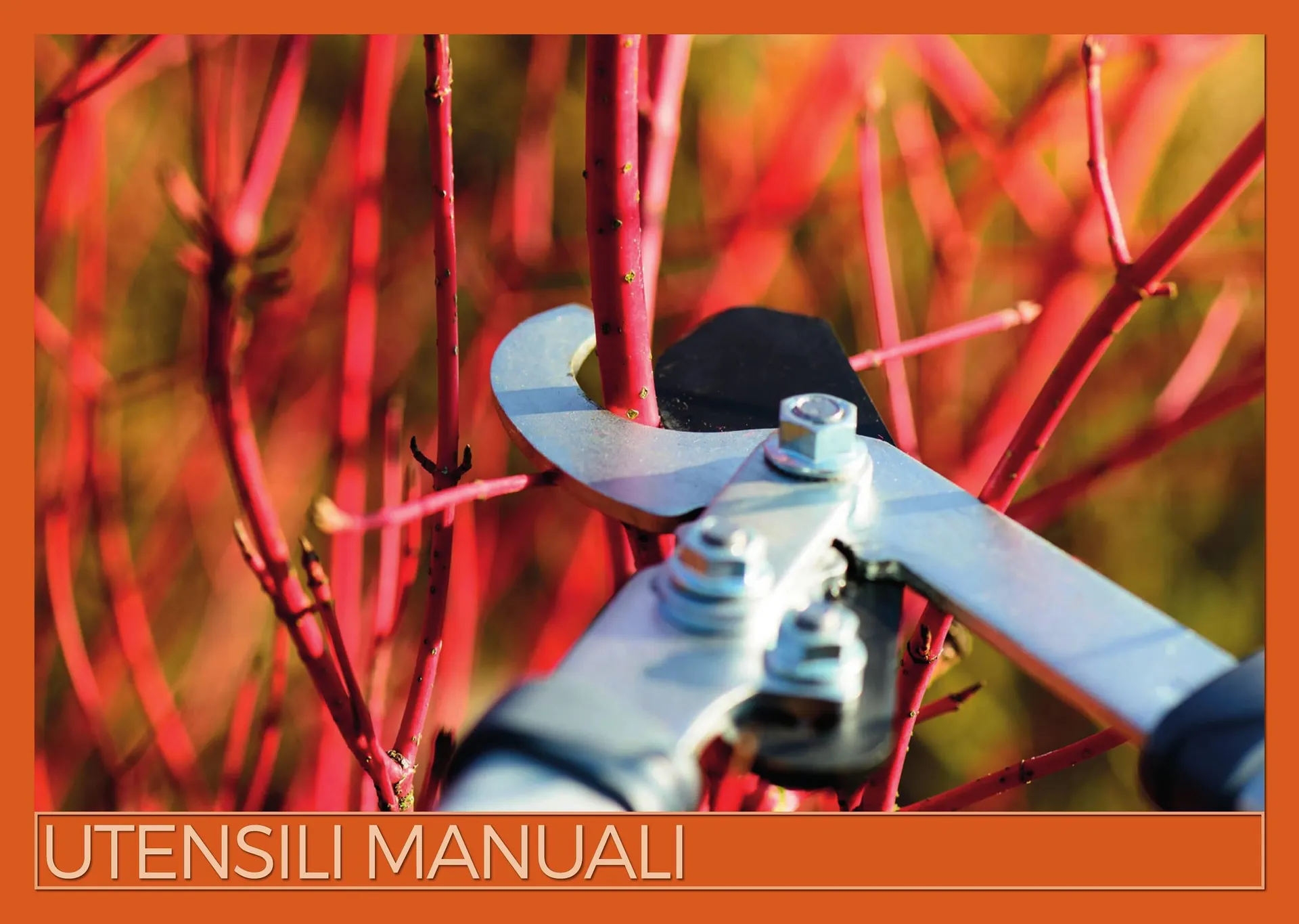 Volantino Brico OK da 25 dicembre a 29 febbraio di 2024 - Pagina del volantino 21