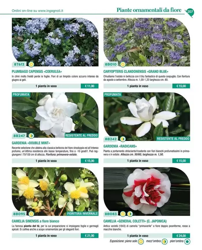 Catalogo guida 2025 da 20 gennaio a 31 dicembre di 2025 - Pagina del volantino 209